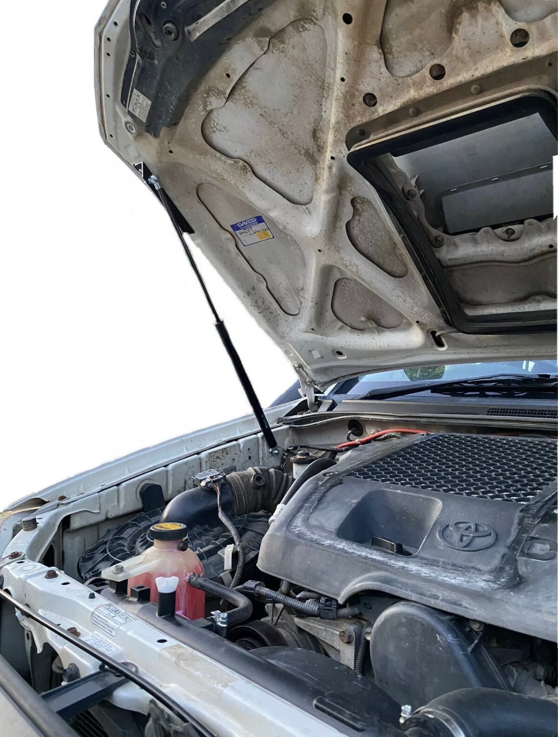 Hilux N70 Single Bonnet Strut Kit
